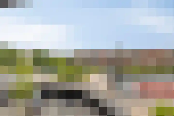 Het Hout 99 Groningen thumbnail 21