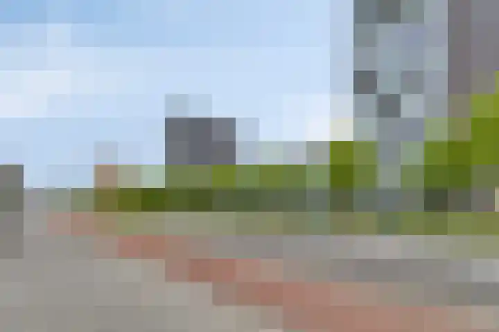 Het Hout 99 Groningen thumbnail 26