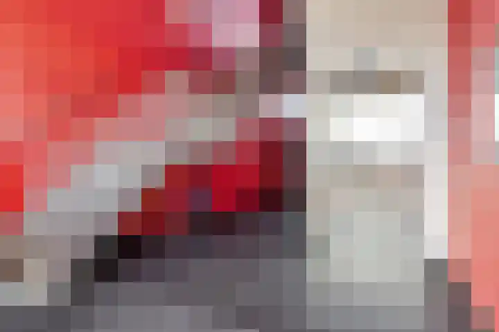 Het Hout 99 Groningen thumbnail 4
