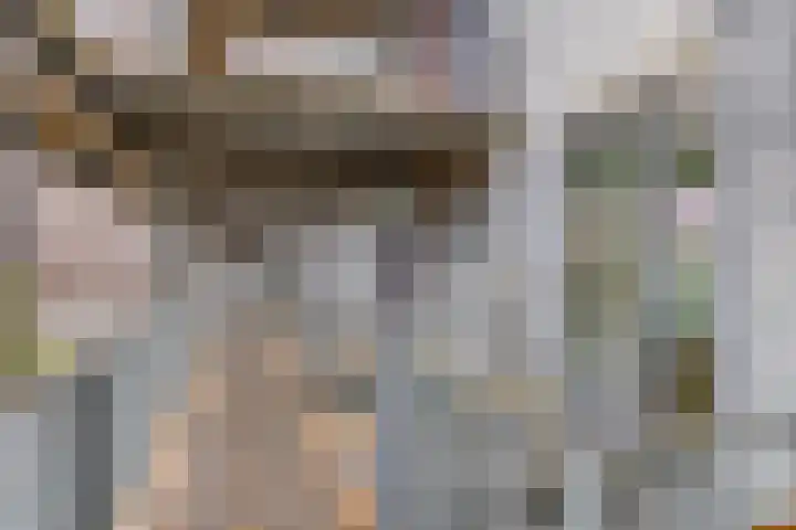 Het Hout 99 Groningen thumbnail 5