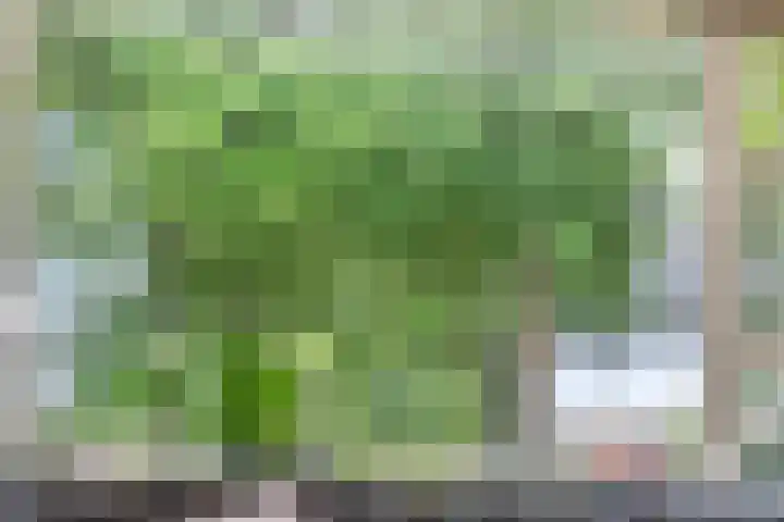 Het Hulshorst 5 Almelo thumbnail 10