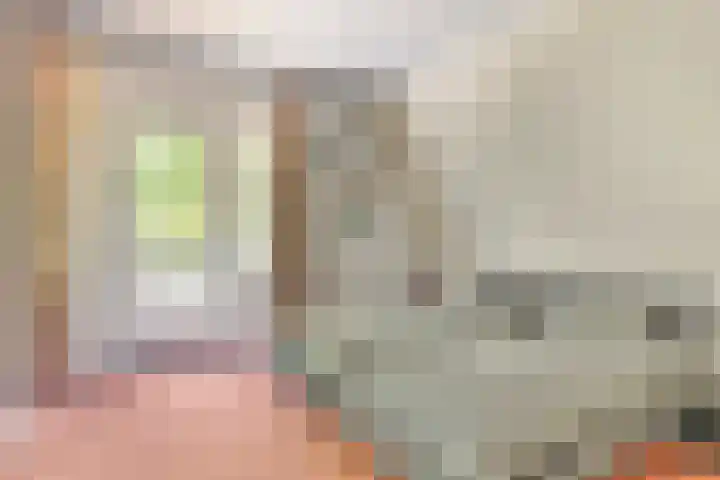 Het Hulshorst 5 Almelo thumbnail 32