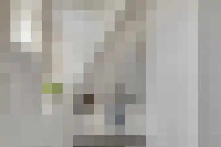 Het Hulshorst 5 Almelo thumbnail 35