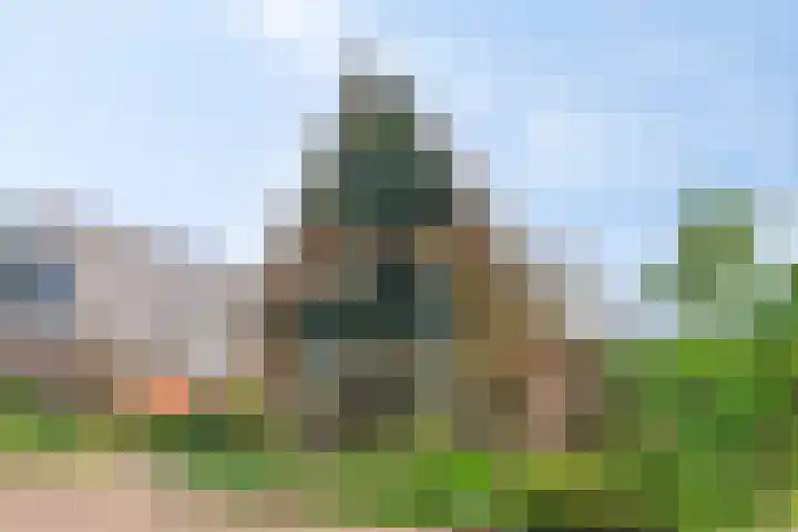 Het Hulshorst 5 Almelo thumbnail 4