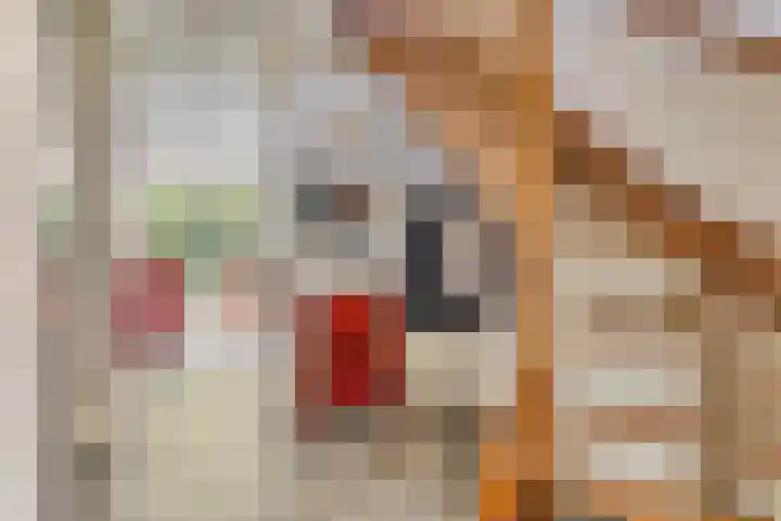 Het Hulshorst 5 Almelo thumbnail 5