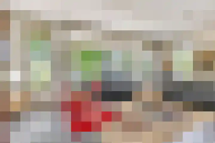 Het Hulshorst 5 Almelo thumbnail 8