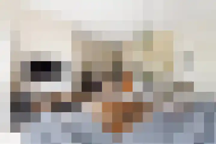 Het Jaagpad 12 Tiel thumbnail 11