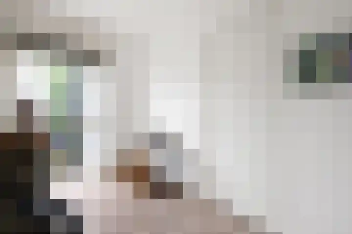 Het Jaagpad 12 Tiel thumbnail 18