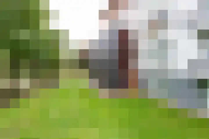 Het Jaagpad 12 Tiel thumbnail 28