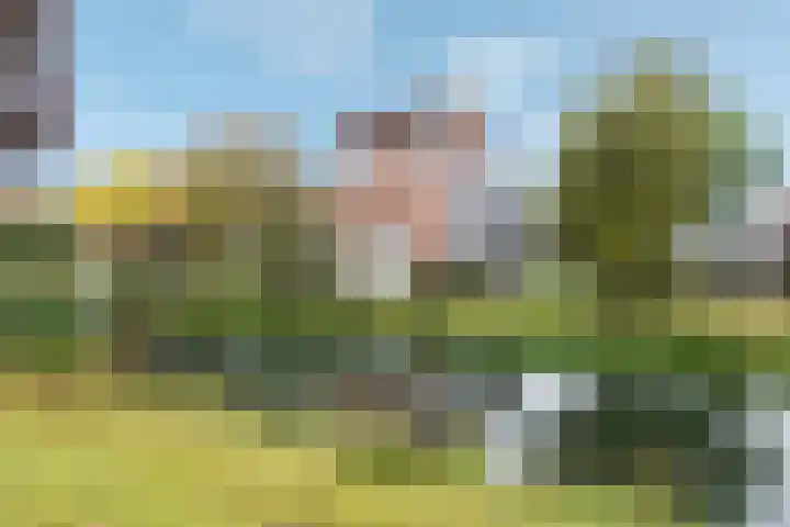 Het Jaagpad 12 Tiel thumbnail 33