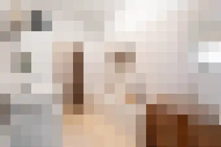 Het Jaagpad 12 Tiel thumbnail 4