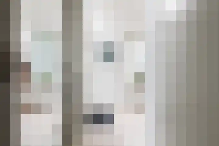 Het Jaagpad 12 Tiel thumbnail 7