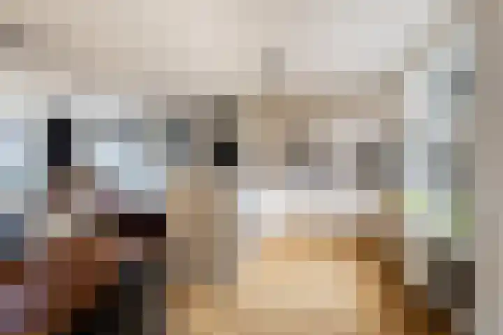 Het Jaagpad 42 Linschoten thumbnail 10