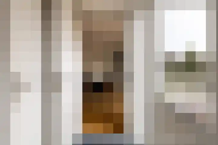 Het Jaagpad 42 Linschoten thumbnail 11
