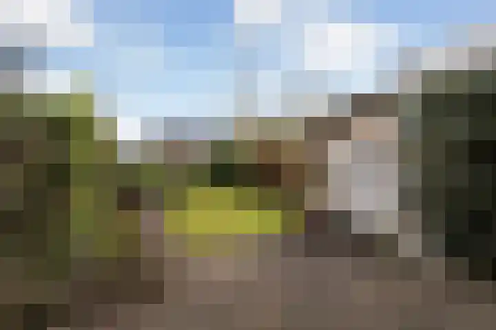 Het Jaagpad 42 Linschoten thumbnail 13