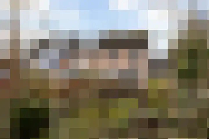 Het Jaagpad 42 Linschoten thumbnail 18