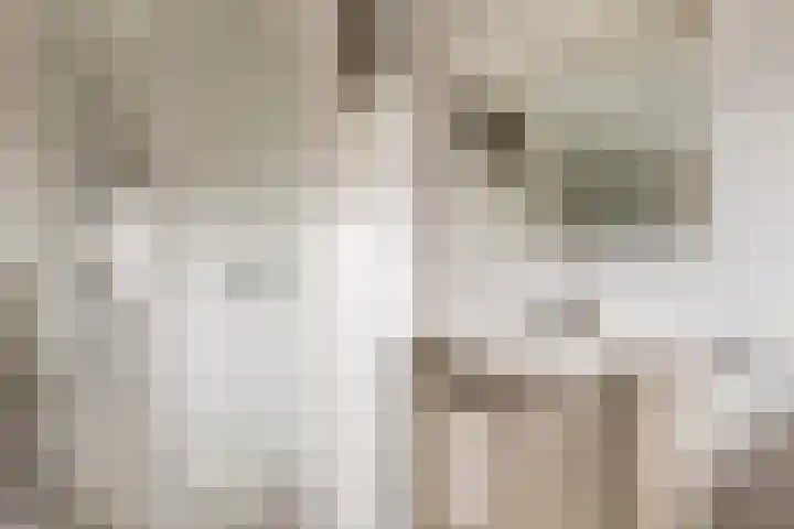 Het Jaagpad 42 Linschoten thumbnail 25