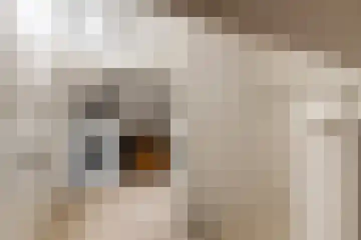 Het Jaagpad 42 Linschoten thumbnail 29