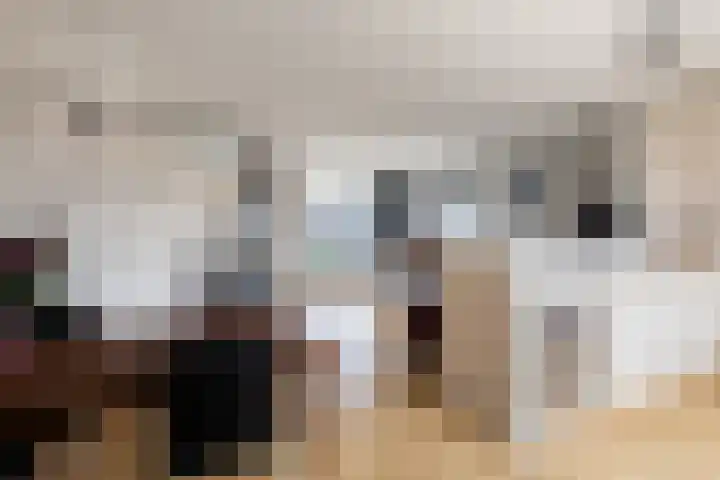 Het Jaagpad 42 Linschoten thumbnail 8