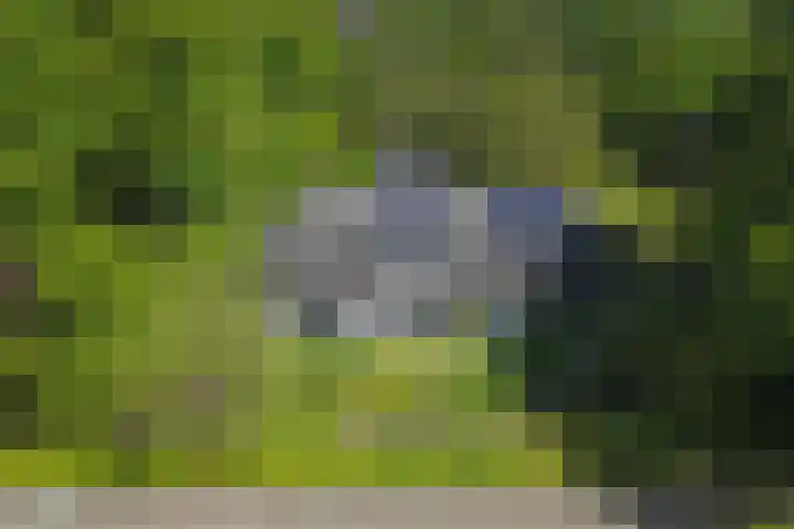 het Jebbink 10 Vorden