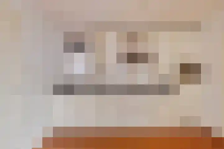 Het Kaar 38 Hapert thumbnail 13