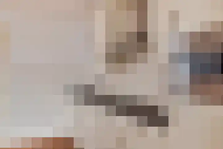 Het Kaar 38 Hapert thumbnail 14