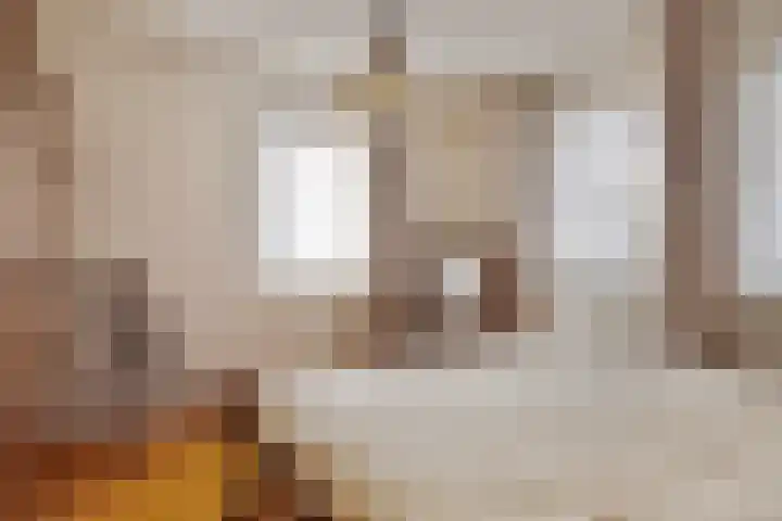 Het Kaar 38 Hapert thumbnail 18