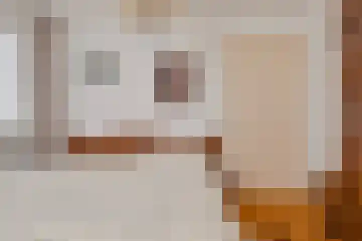 Het Kaar 38 Hapert thumbnail 19