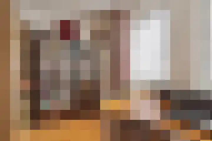 Het Kaar 38 Hapert thumbnail 22