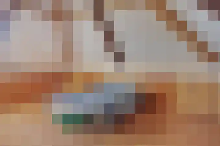 Het Kaar 38 Hapert thumbnail 26