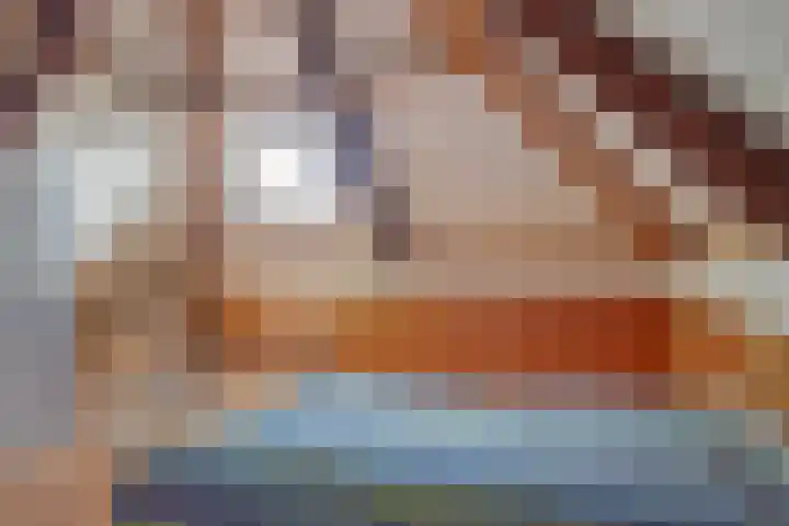 Het Kaar 38 Hapert thumbnail 27