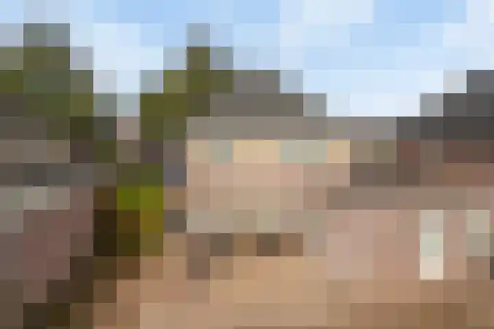 Het Kaar 38 Hapert thumbnail 28