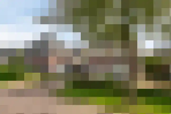 Het Kaar 38 Hapert thumbnail 37