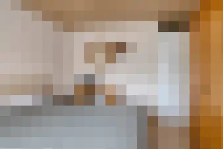 Het Kaar 43 Bergeijk thumbnail 20