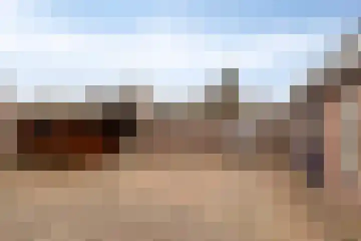 Het Kaar 43 Bergeijk thumbnail 31