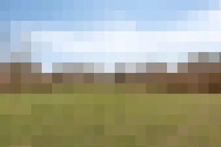 Het Kaar 43 Bergeijk thumbnail 35