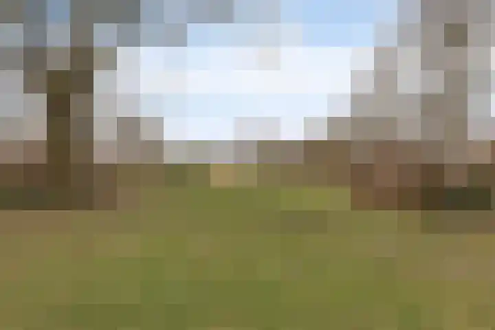 Het Kaar 43 Bergeijk thumbnail 36