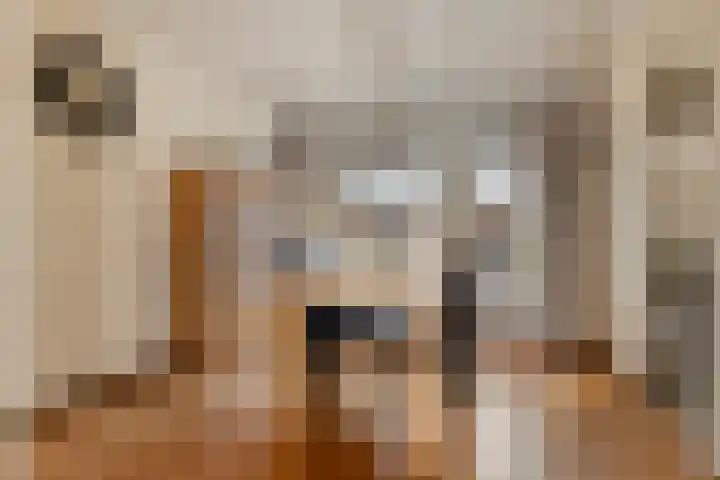 Het Kaar 43 Bergeijk thumbnail 6