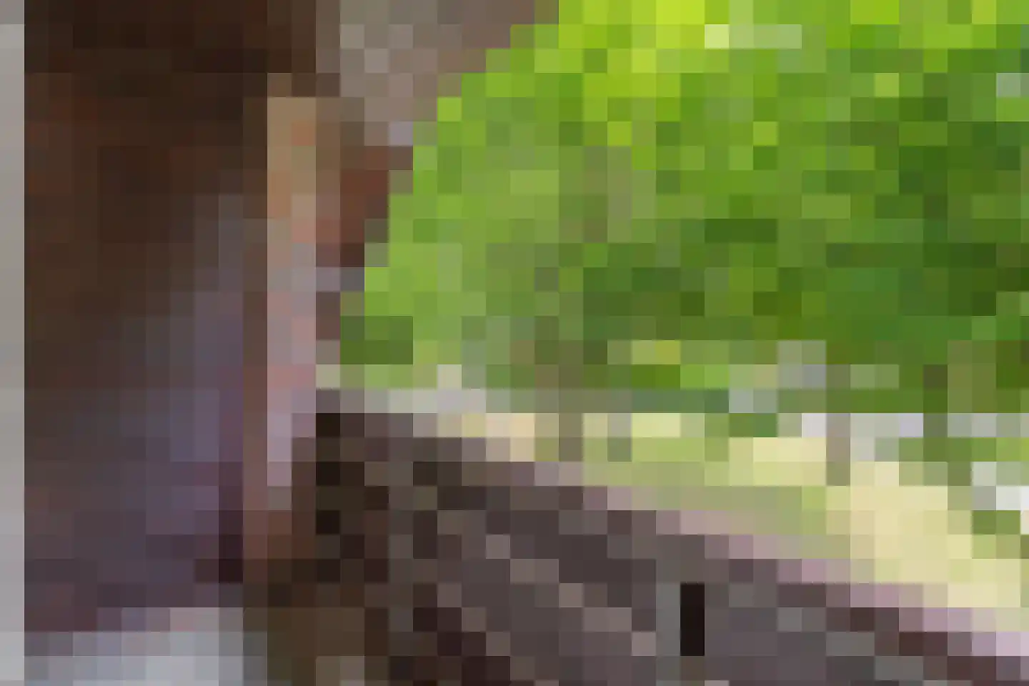 Het Kapittel 41 Boxtel thumbnail 12