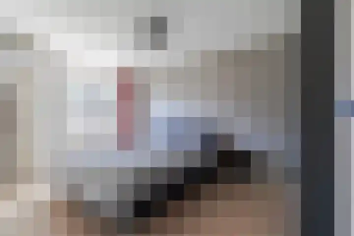 Het Kapittel 41 Boxtel thumbnail 26