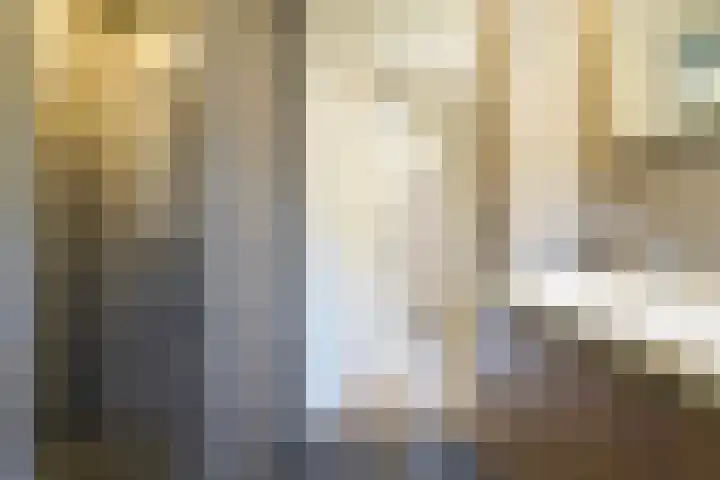 Het Kapittel 41 Boxtel thumbnail 29