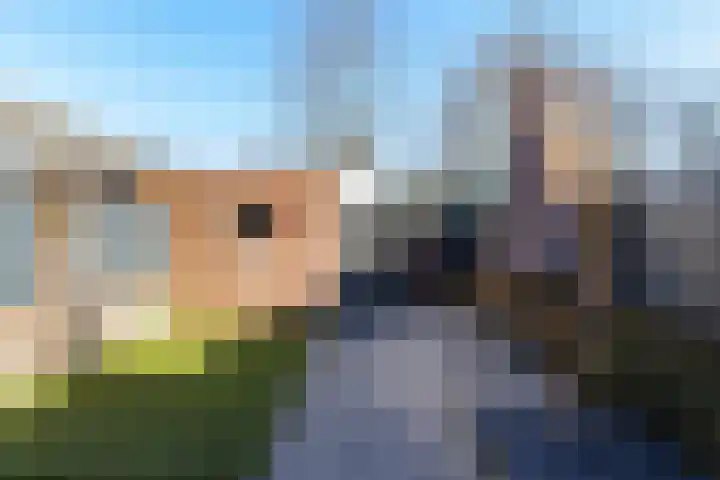Het Kapittel 41 Boxtel thumbnail 43
