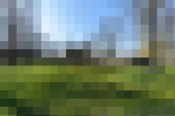 Het Kapittel 41 Boxtel thumbnail 47