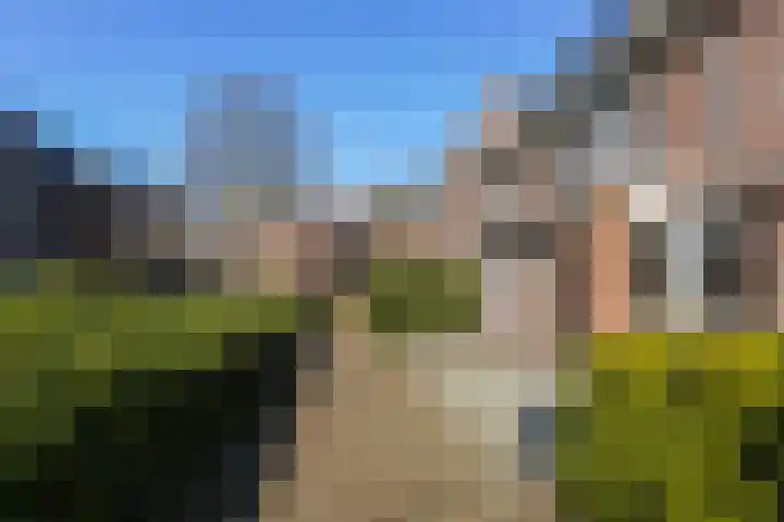 Het Kapittel 41 Boxtel thumbnail 5