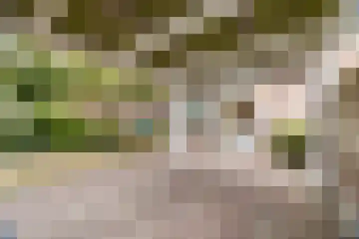 Het Kapittel 41 Boxtel thumbnail 51