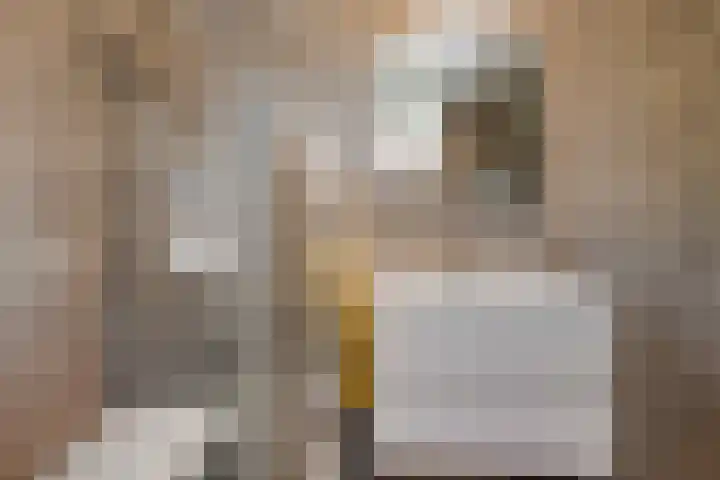 Het Klinket 35 Amersfoort thumbnail 21