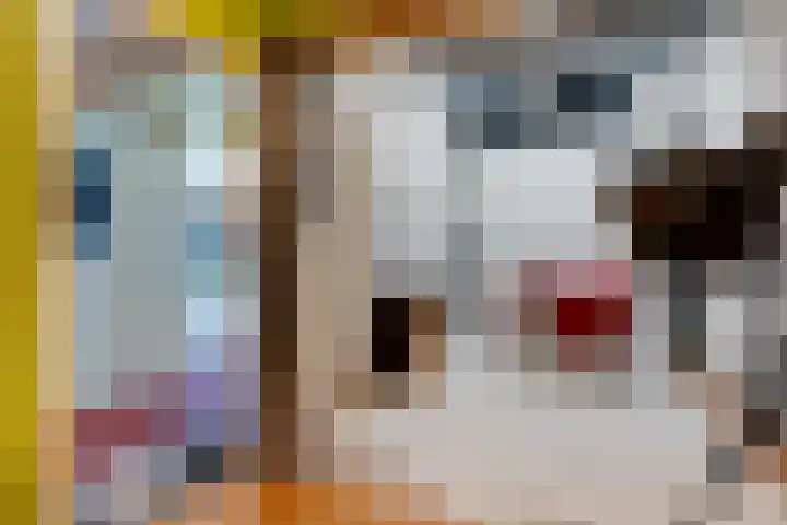Het Klinket 35 Amersfoort thumbnail 26