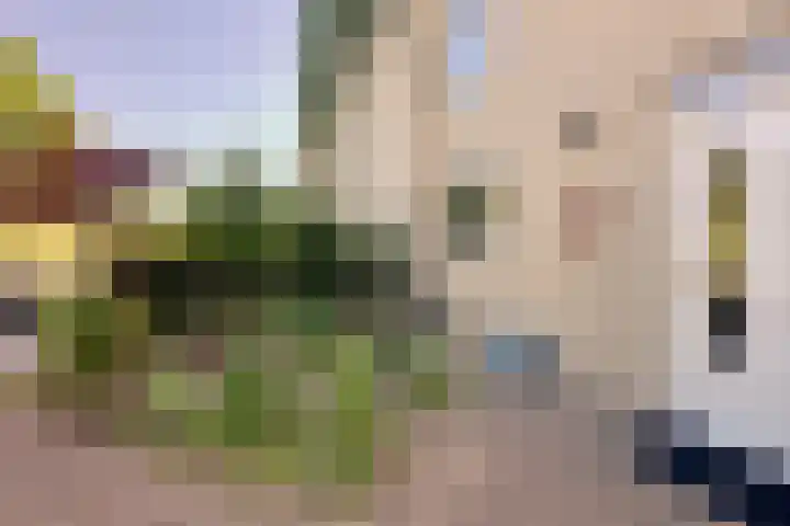 Het Klinket 35 Amersfoort thumbnail 36