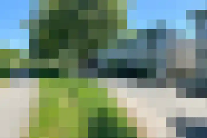 Het Klinket 35 Amersfoort thumbnail 39