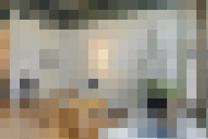 Het Klooster 3 Angerlo thumbnail 10